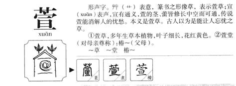 萱名字意思|萱字取名的寓意